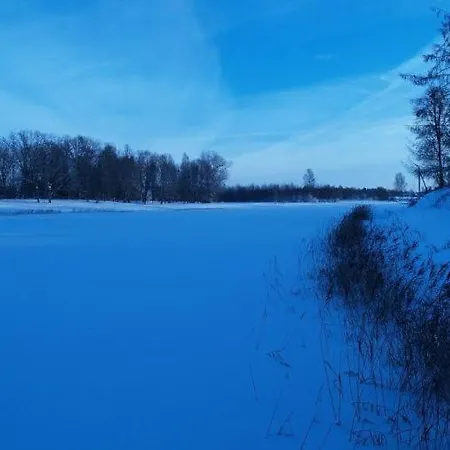 Suure-jaani
